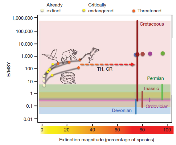 Extinctions