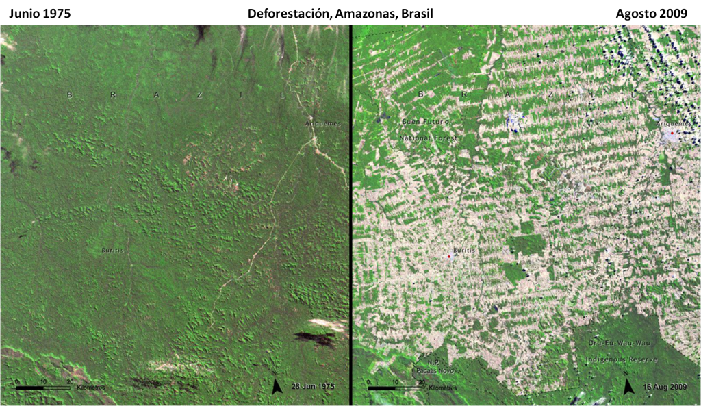 deforestation_NASA
